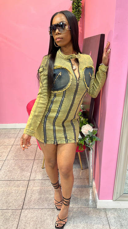Tinted Denim Dress