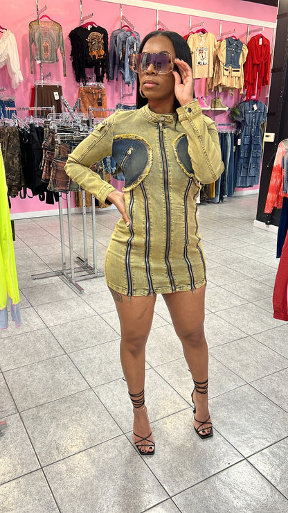 Tinted Denim Dress