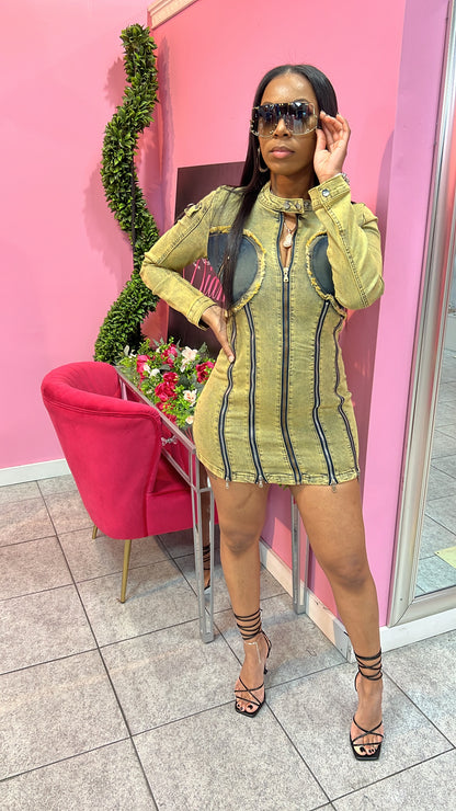Tinted Denim Dress