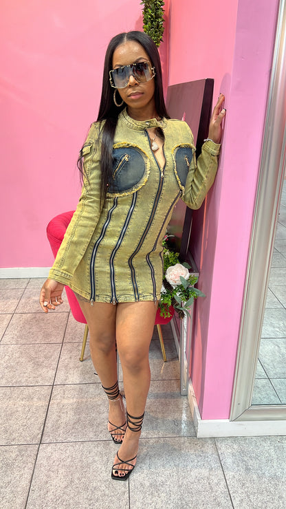 Tinted Denim Dress